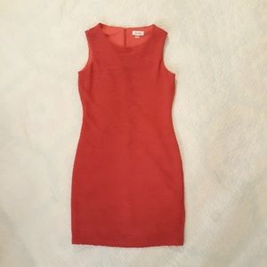 Calvin Klein Sheath Dress